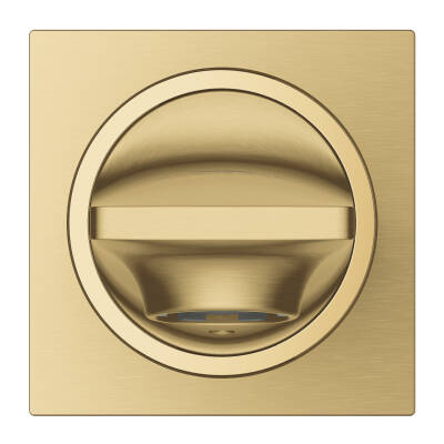 Grohe Allure Çıkış Ucu, Fırçalı Altın 13264GN1 - 4