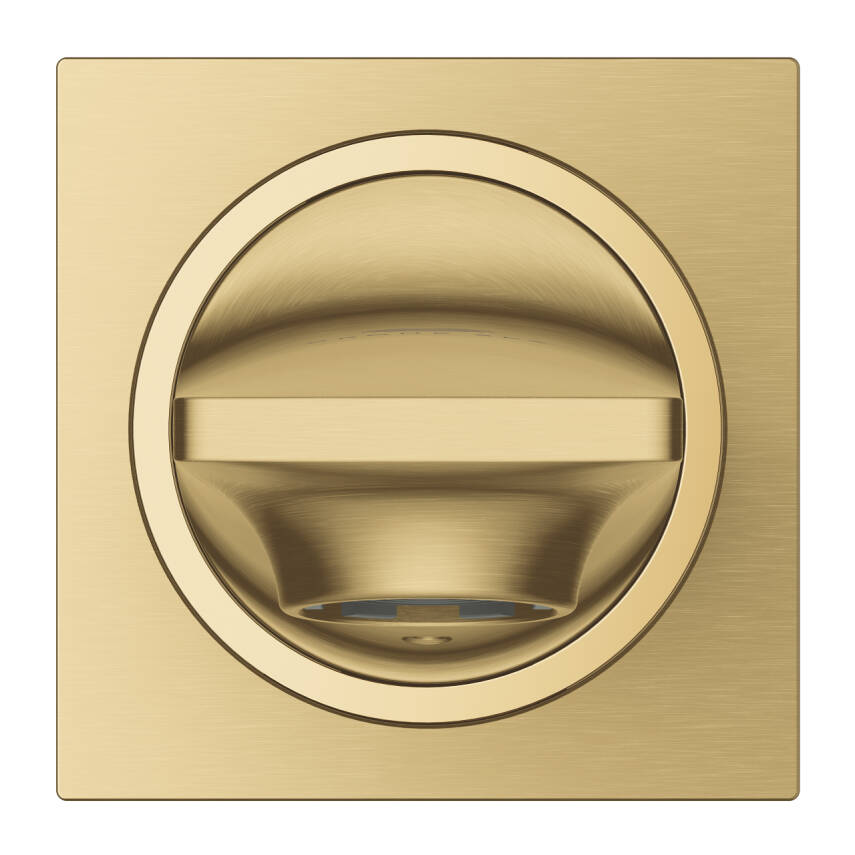 Grohe Allure Çıkış Ucu, Fırçalı Altın 13264GN1 - 4