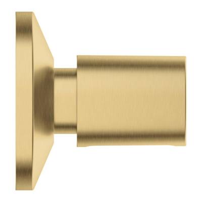 Grohe Bau Cosmopolitan Ankastre Stop Valf (Sıva Üstü Grubu), Fırçalı Altın 19917GN0 - 2