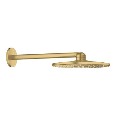 Grohe Rainshower SmartActive 310 Tepe Duşu Seti 31 cm 2 Akışlı Fırçalı Altın 26475GN0 - 1